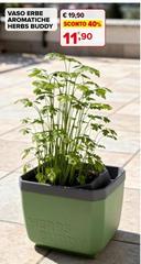 Buddy - Vaso Erbe Aromatiche