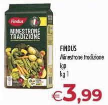 Findus - Minestrone Tradizione IGP