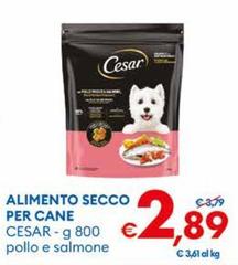Cesar - Alimento Secco Per Cane
