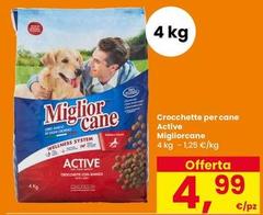 Crocchette Per Cane Active