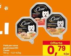 Cesar - Patè Per Cane Gusti Assortiti