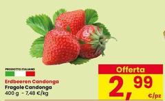 Erdeberen Candonga Fragole Candonga
