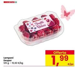 Despar - Lamponi