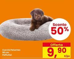 Cuccia Peluches