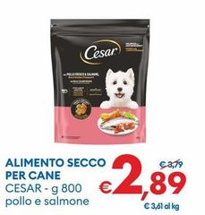 Cesar - Alimento Secco Per Cane