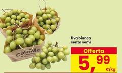 Semi - Uva Bianca Senza