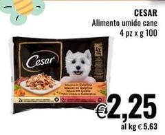 Cesar - Alimento Umido Cane