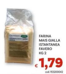 Favero - Farina Mais Gialla Istantanea