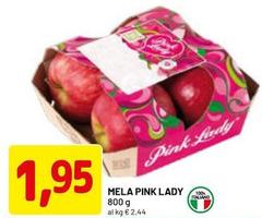 lady - Mela Pink Lady