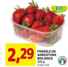 Biologica - Fragole Da Agricotura