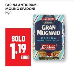 Molino spadoni - Farina Antigrumi