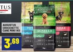 Crocchette Cane Mini