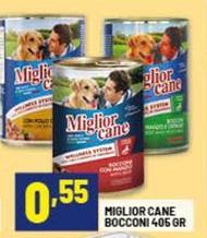 Morando - Miglior Cane Bocconi