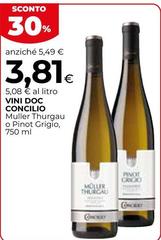 Concilio - Vini DOC