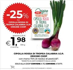 Calabria - Cipolla Rossa Di Tropea  I.G.P.