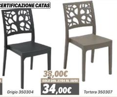 Solo - Tortora 350307