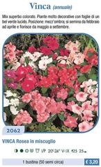 Vinca (Annuale)