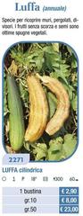Luffa (Annuale)
