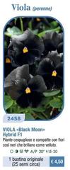 Viola (Perenne)