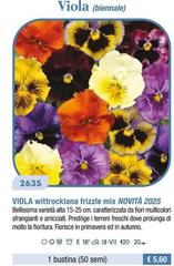Viola (Biennale)