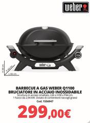 Indesit - Barbecue A Gas Weber Q1100 Bruciatore In Acciaio Inossidabile