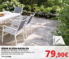 Tortora - Sedia Alissa/aazalea