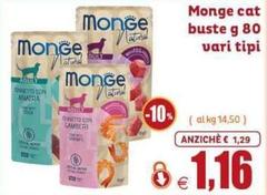 Monge -  Cat Buste