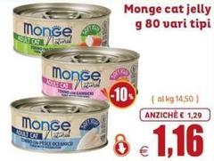 Monge -  Cat Jelly