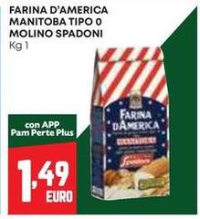 Molino - Farina D'America Manitoba Tipo O  Spadoni