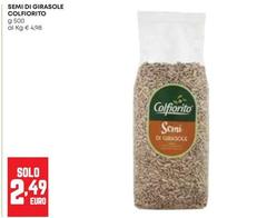 Colfiorito - Semi Di Girasole