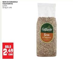 Colfiorito - Semi Di Girasole