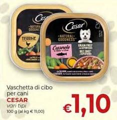 Cesar - Vaschetta Di Cibo Per Cani