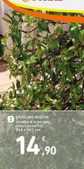 Tavolino Austin