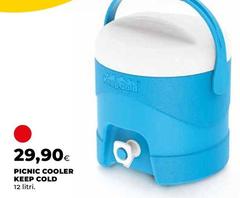 Picnic Cooler Keep Cold