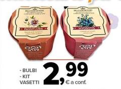 Bulbi