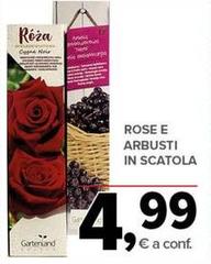 Rose E Arbusti In Scatola