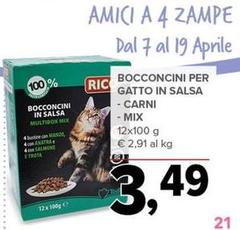 Bocconcini Per Gatto In Salsa