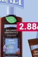 Rhütten - Balsamo Erboristica