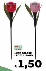 Luce -  Solare Led Tulipano
