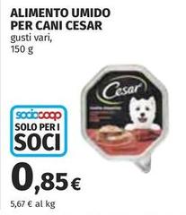 Cesar - Alimento Umido Per Cani