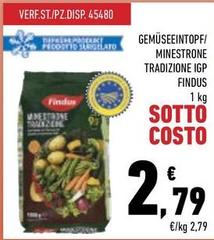 Findus - Minestrone Tradizione IGP