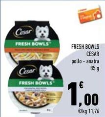 Cesar - Fresh Bowls