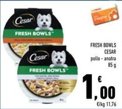 Cesar - Fresh Bowls