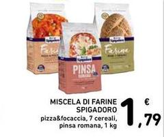 Molini spigadoro - Miscela Di Farine