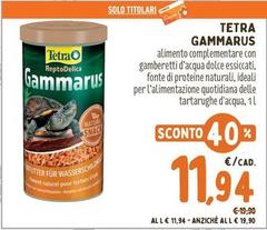 Tetra -  Gammarus