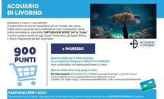 Ari - Acquario Di Livorno