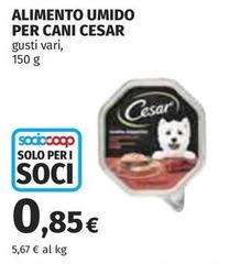 Cesar - Alimento Umido Per Cani