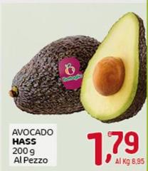 Avocado Hass