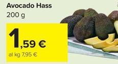 Avocado Hass