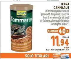 Tetra -  Gammarus
